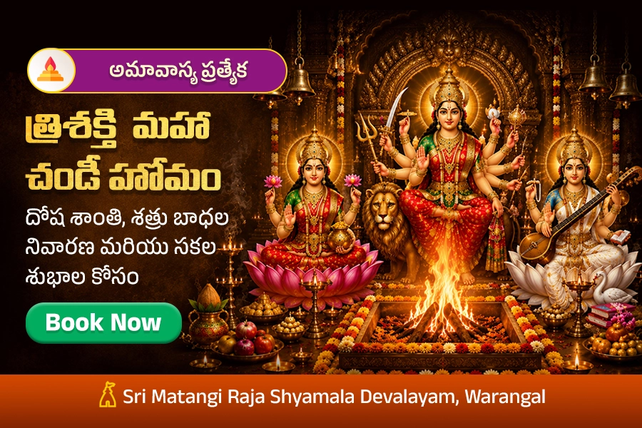 అమావాస్య ప్రత్యేక త్రిశక్తి మహా చండీ హోమం
