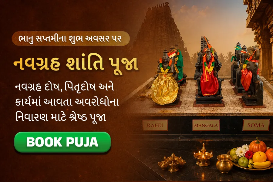 નવગ્રહ વિશેષ પૂજા