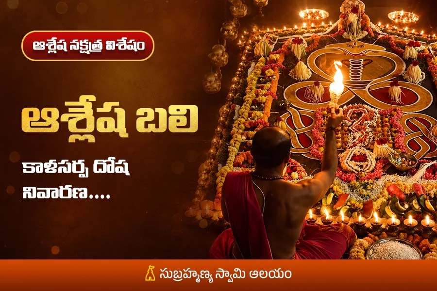వివాహం • సంతానం • ఆర్థిక సమస్యల నివారణ _ సర్పదోషాలకు శక్తివంతమైన పరిహారం