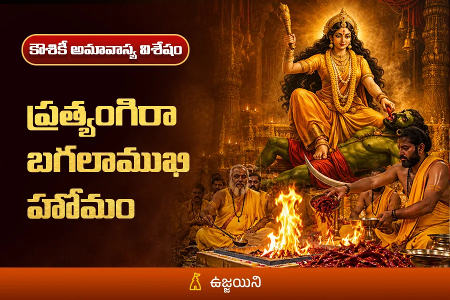 100 కేజీల ఎర్రమిరపకాయలతో అమావాస్య ప్రత్యేకం - ప్రత్యంగిరా బగళాముఖీ హోమం