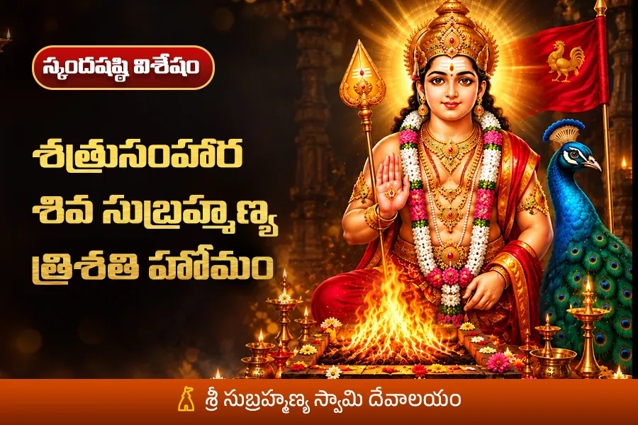 శీఘ్ర వివాహం.. సంతాన ప్రాప్తి.. ఆస్తి విజయాల కోసం శత్రుసంహార శివ సుబ్రహ్మణ్య త్రిశతి హోమం