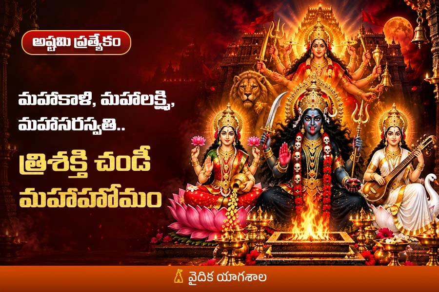 భయాలు, ఆటంకాలు తొలగి అనుకున్న పనులు విజయవంతం కావడానికి... త్రిశక్తి చండీహోమం