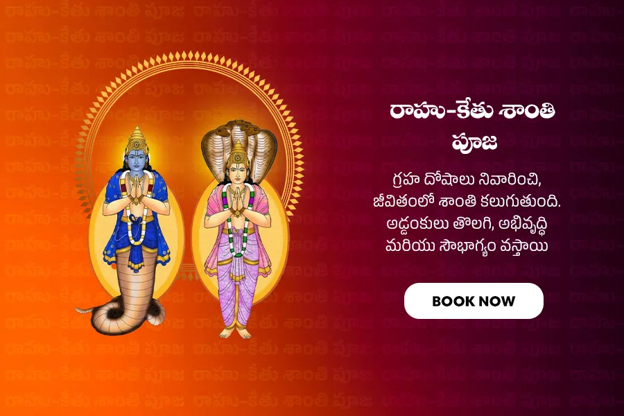రాహు-కేతు శాంతి పూజ 