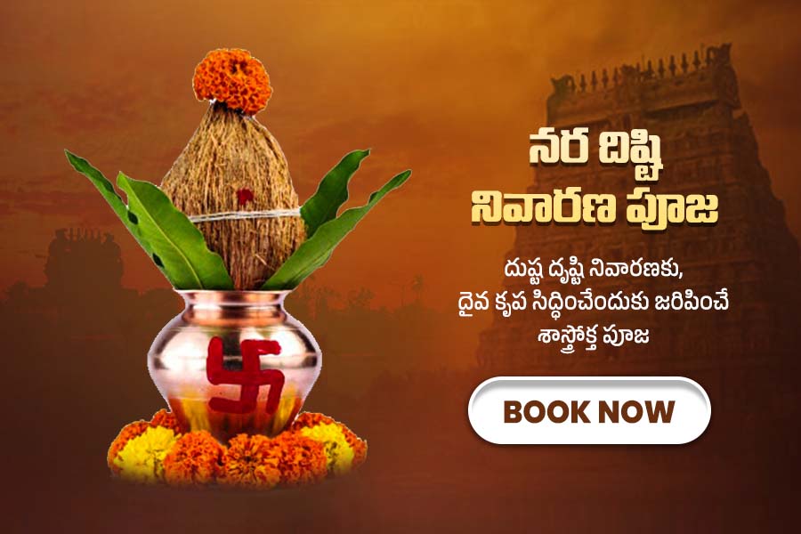 నర దిష్టి నివారణ పూజ