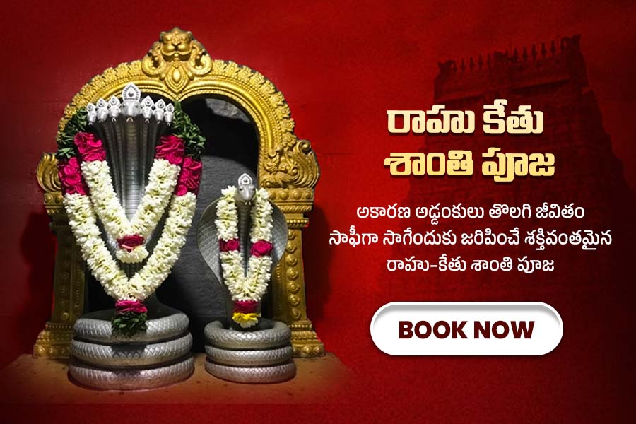 రాహు-కేతు శాంతి పూజ 