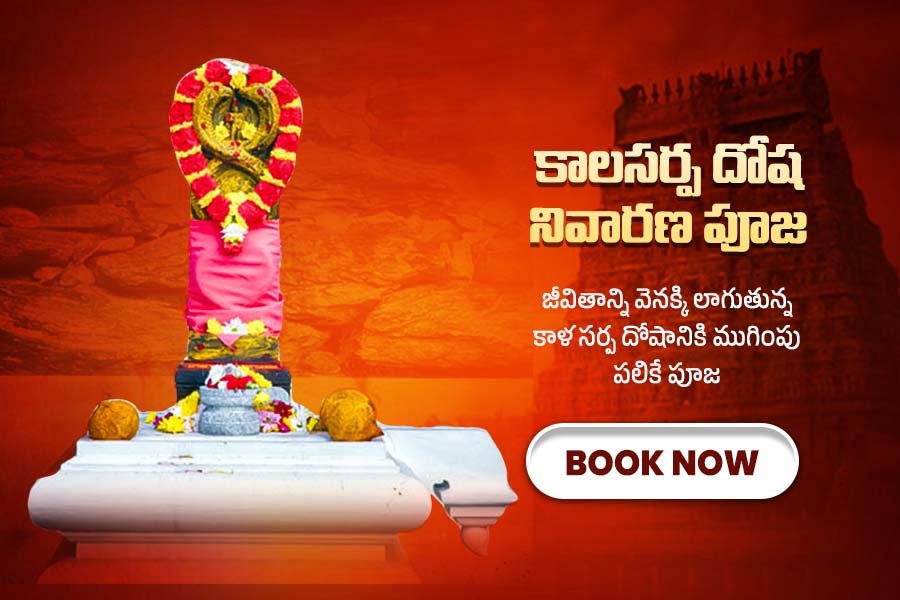 కాలసర్ప దోష నివారణ పూజ