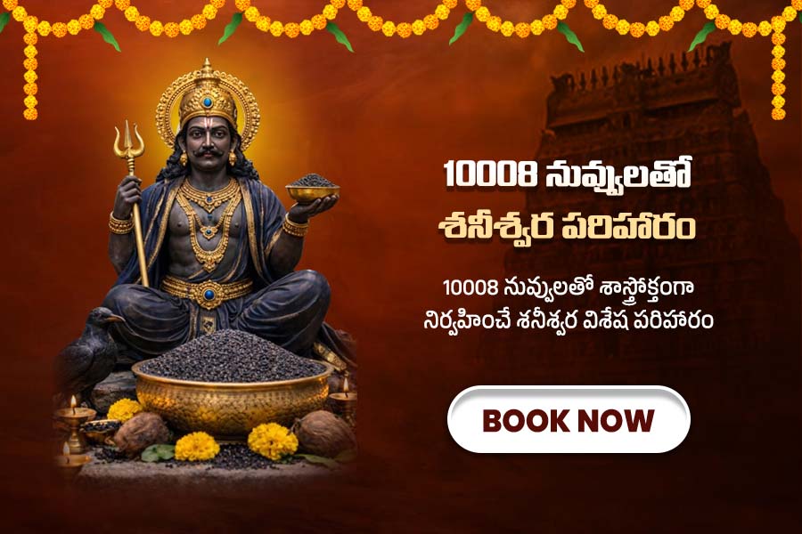 10008 నువ్వులతో శనీశ్వర పరిహారం