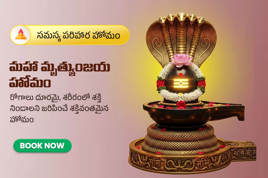 మహా మృత్యుంజయ హోమం