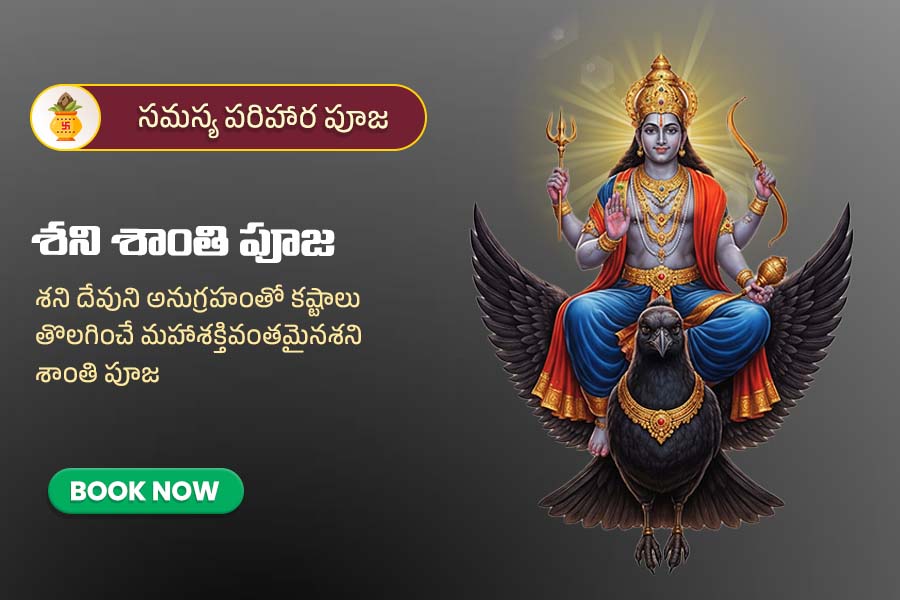 శని శాంతి పూజ