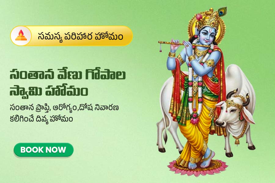 సంతాన వేణు గోపాల స్వామి హోమం