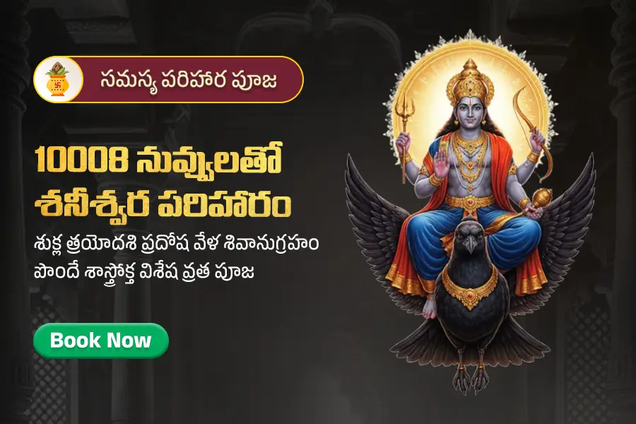 10008 నువ్వులతో శనీశ్వర పరిహారం