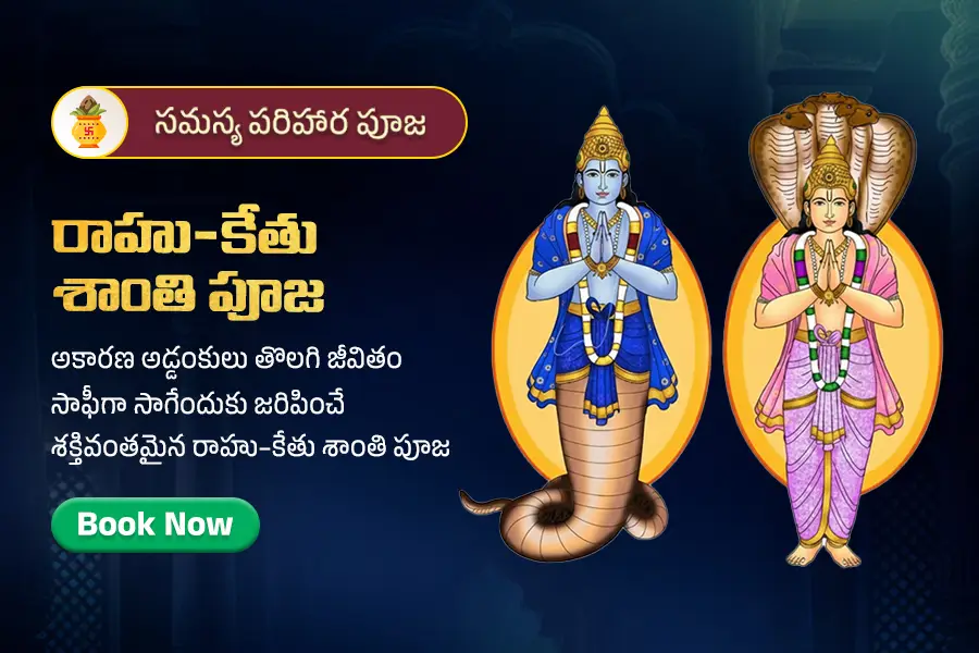 రాహు-కేతు శాంతి పూజ 