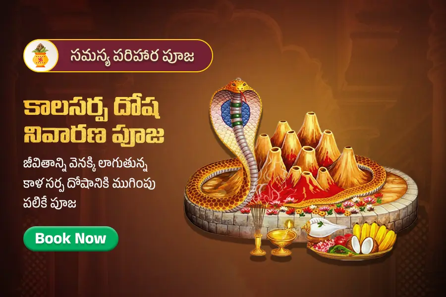 కాలసర్ప దోష నివారణ పూజ