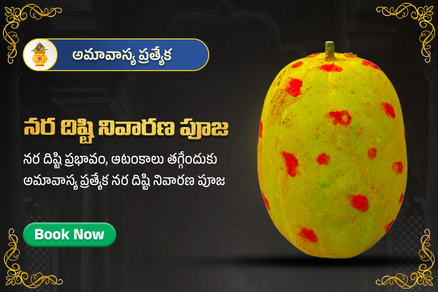  నర దిష్టి నివారణ పూజ