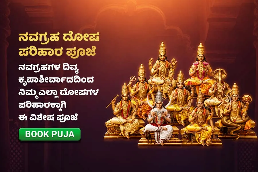 ગ્રહપીડામાંથી મુક્તિ અને ઘરમાં શાંતિ માટે નવગ્રહ શાંતિ હોમ