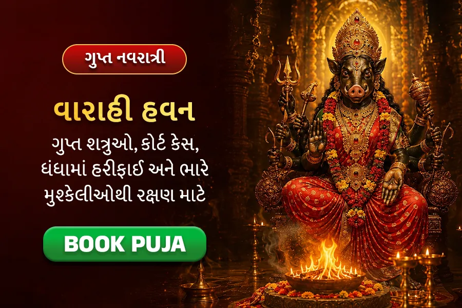 ગુપ્ત નવરાત્રી મહાહવન