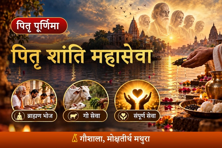 पितरों की शांति और मोक्ष के लिए पितृ शांति महासेवा