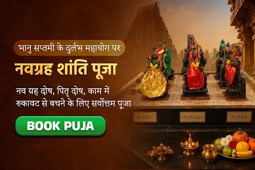 ग्रह बाधा एवं विघ्न निवारण हेतु नवग्रह शांति होम, नवधान्य आहुति सहित