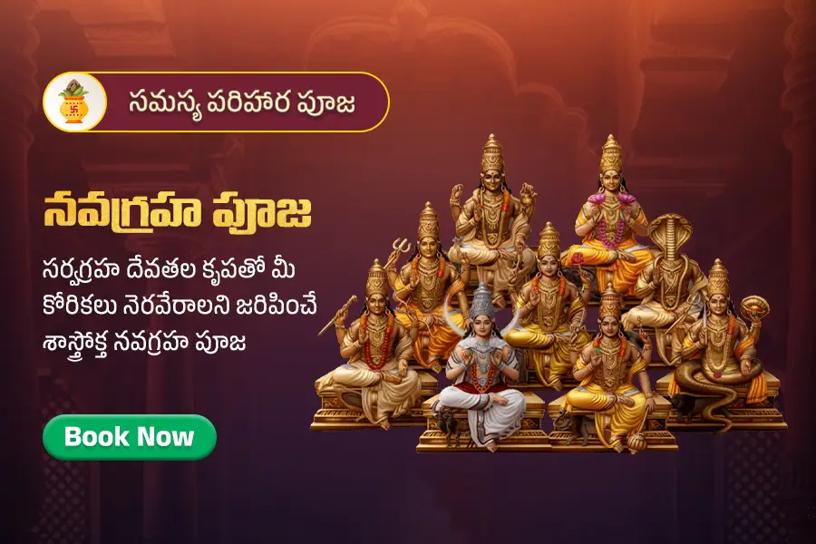 Navagraha Shanti Homam for Relief from Planetary Afflictions and Peace at Home