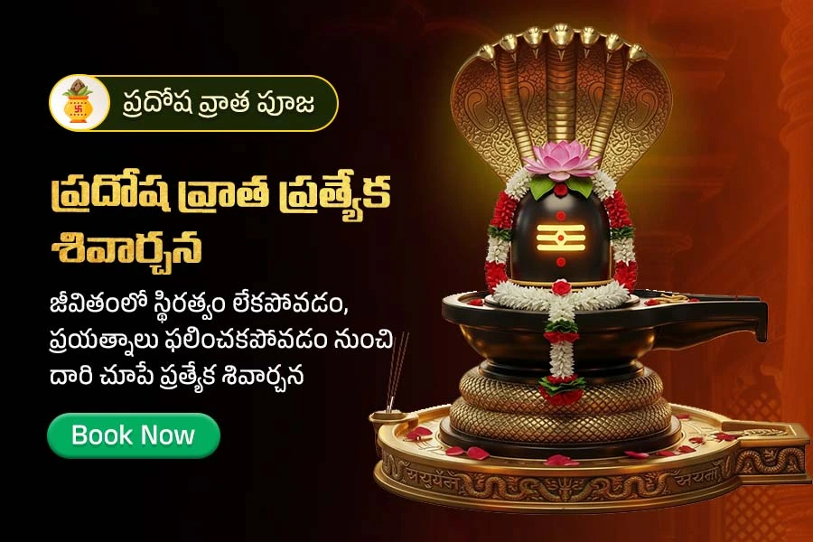 Maha Rudrabhishekam for Health, Longevity and Relief from Severe Graha Afflictions